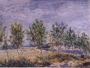 Claude Monet Poplars on a River Bank oil painting picture wholesale